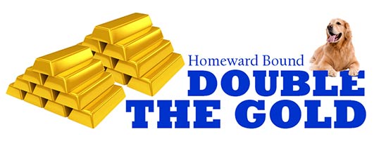 Image of Double the Gold logo
