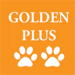 Golden-Plus-Icon_AF
