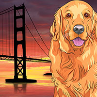 Golden-Gate_200x200 Gold Blossom