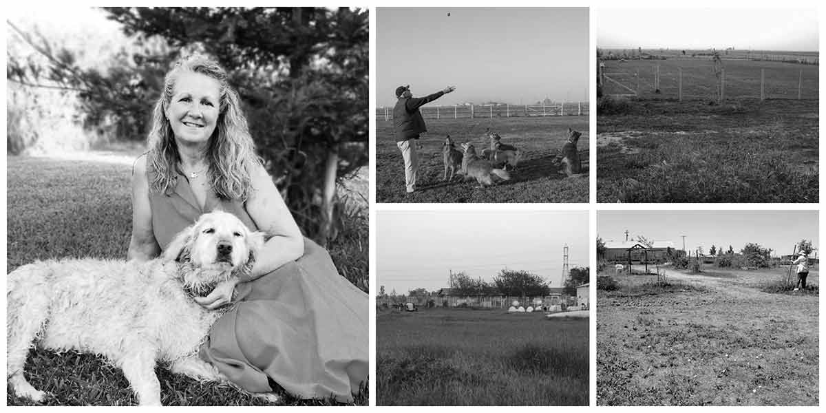 Collage-Archive_BW_Web