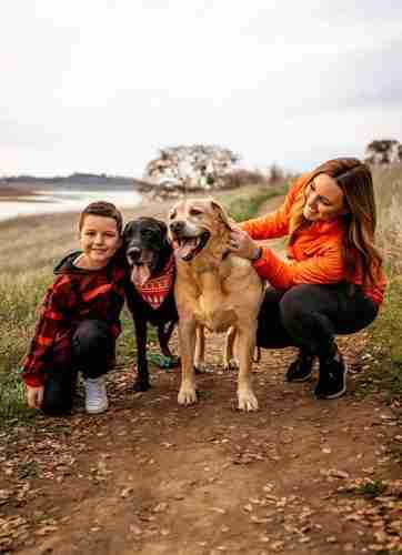 Dog and family adopted through Homeward Bound Golden Retriever Rescue