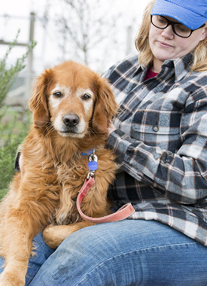 Homeward Bound foster with dog