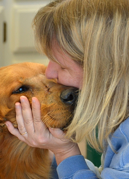 Homeward Bound vet providing care to a Golden Retriever