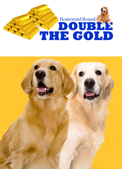 DTG Page Image2_427x590 double the gold logo