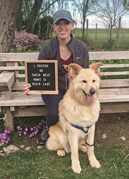 A woman holding a foster sign