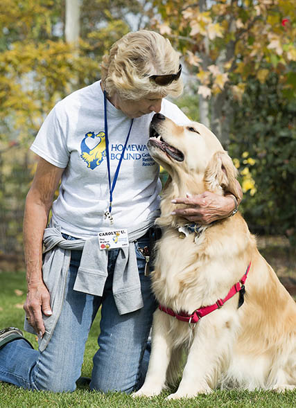 Homeward Bound Golden Retriever Rescue Volunteer