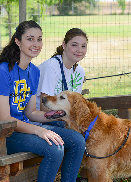 Homeward Bound Golden Retriever Rescue Volunteer