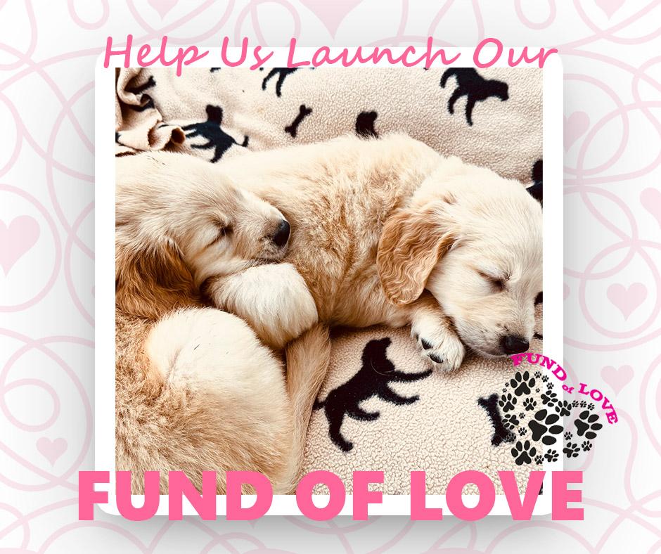 fund of love featured dog snickerdoodle