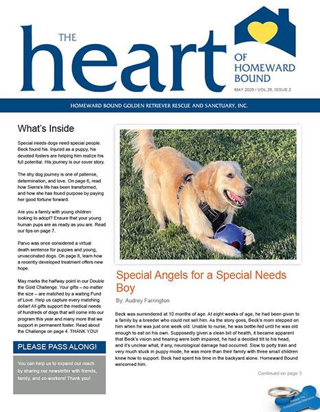 November Newsletter Cover