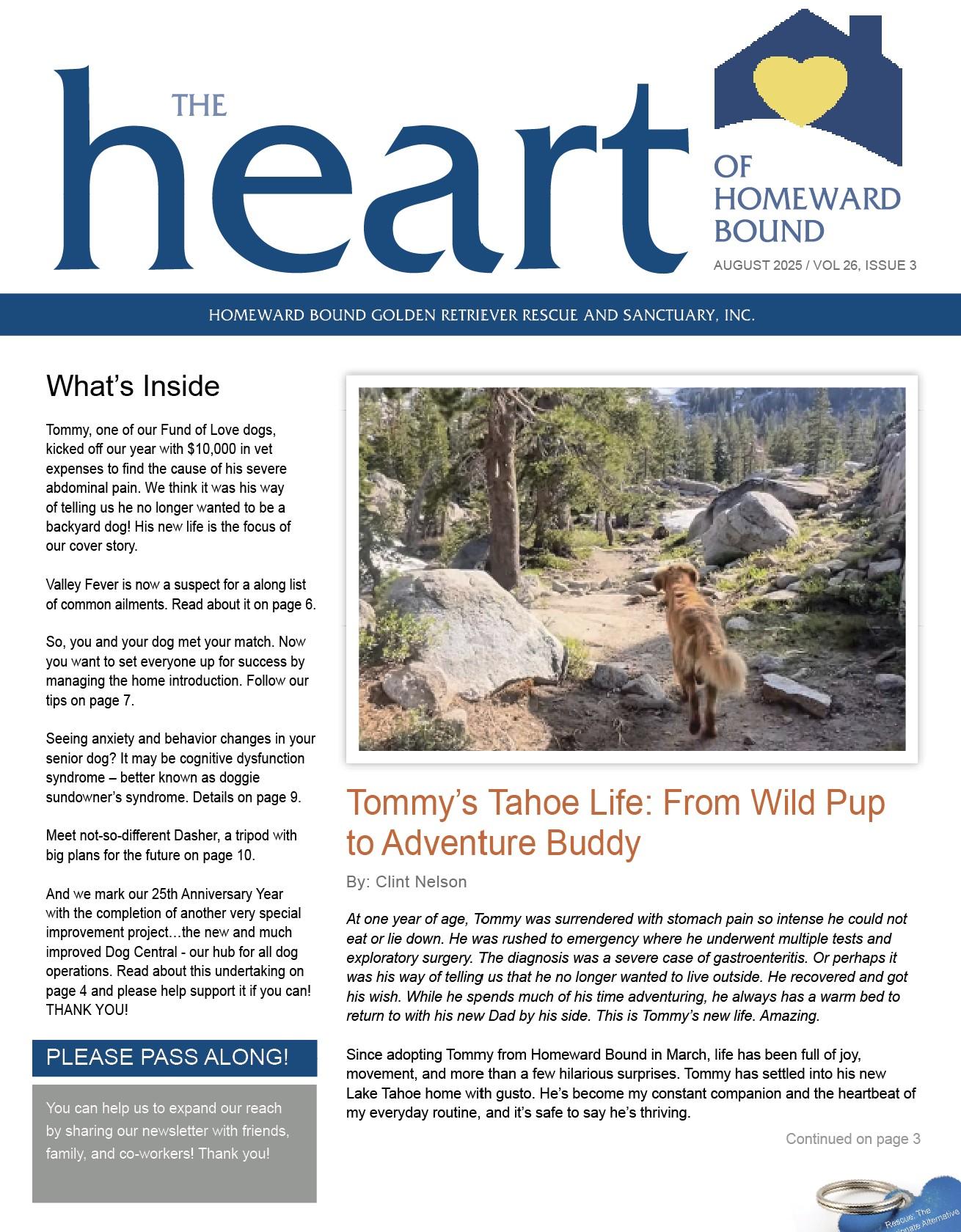 November Newsletter Cover