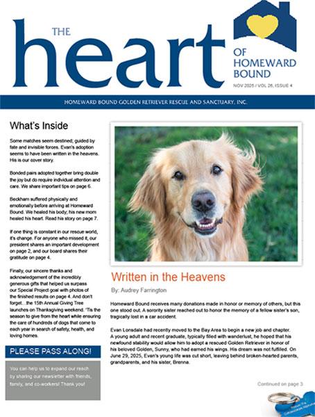 November Newsletter Cover