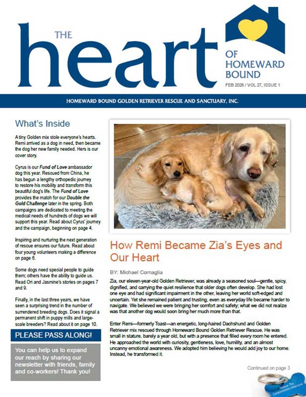 November Newsletter Cover