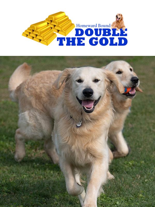 double the gold logo