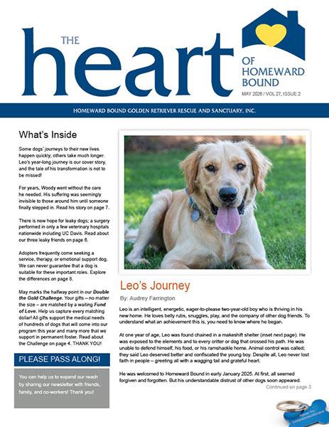 November Newsletter Cover