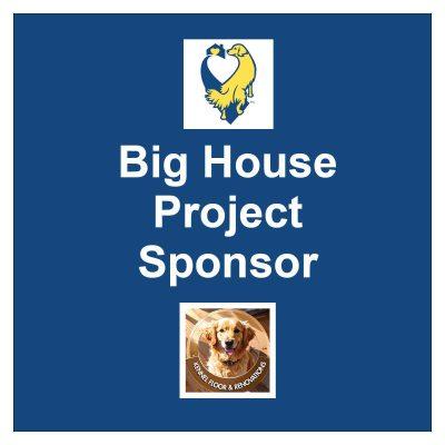 Project Sponsor Graphic